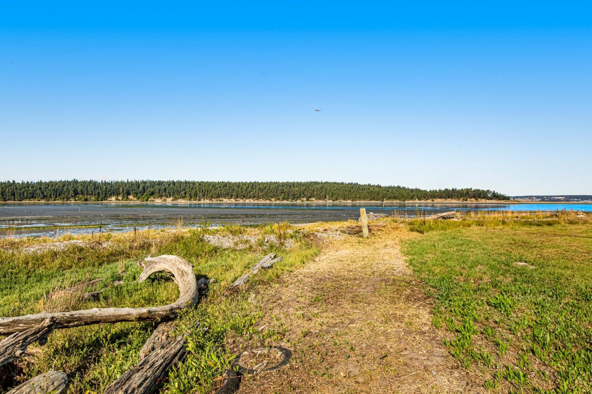 Marrowstone Island Beach Cabin Ngoại thất bức ảnh